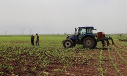 Tarımsal destek ödemeleri bugün yapılıyor