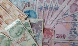 Türkiye Aile Destek Programı ödemeleri yapıldı