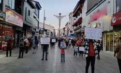 Ağrı Genç İHH'dan sessiz protesto
