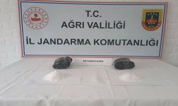 Ağrı’da durdurulan bir tırda uyuşturucu madde ele geçirildi