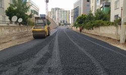 Bağlar Belediyesi yeni bağlantı yollarını asfaltladı