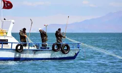 Erzincan'da alabalık avı yasaklandı