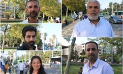 Halktan belediyeye tepki: Sokak köpekleriyle ilgi gerçekten bir çalışma yok