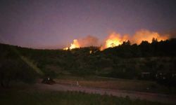 İzmir'de orman yangını
