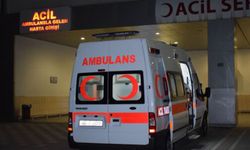 Otomobil ile kamyonun karıştığı kazada 2 kişi öldü