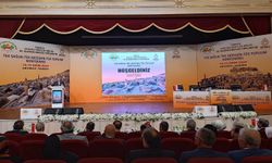 Sağlıklı Kentler Birliği Başkanı Aktaş: Gazze'ye yönelik bir ilaç kampanyası başlatmak istiyoruz 