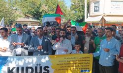 Şanlıurfa'nın ilçelerinden Filistin'e destek