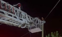 Silopi'de direkte mahsur kalan kedi kurtarıldı