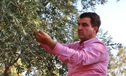 Yeraltı damlama sistemi diğer yöntemlerden daha fazla avantaj sağlıyor