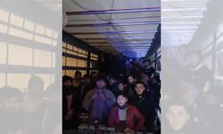 Ağrı'da 48 göçmen tır dorsesinde yolculuk yaparken yakalandı