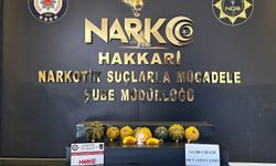Bal kabakları içinde 14 kilo sentetik uyuşturucu ele geçirildi