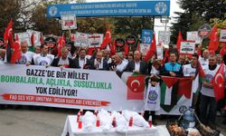 Birleşmiş Milletler Gıda ve Tarım Örgütü önünde Filistin'e destek eylemi