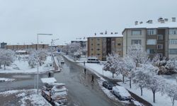 Bitlis merkez, ilçe ve bağlı köylerine mevsimin ilk karı düştü