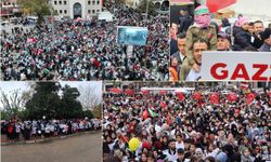 Bursalı çocuklar, Filistinli akranları için tek yürek oldu