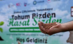 Çiftçilere kırmızı mercimek tohumu desteği