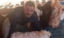 Diyarbakır'da yıldırımın isabet ettiği kişi yaralandı