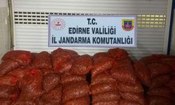 Edirne’de 1 ton 662 kilo kaçak kum midyesi ele geçirildi