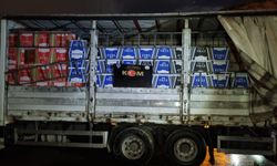 Malatya'da 5 milyon adet üzeri makaron ele geçirildi