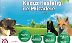 Malatya’da havadan kuduz aşılaması yapıldı