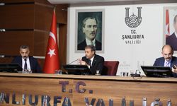 Şanlıurfa'da deprem sonrası yürütülen çalışmalar değerlendirildi