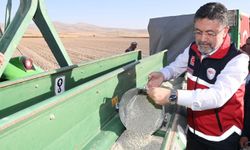 Sertifikalı tohum üretiminde 10 kat artış