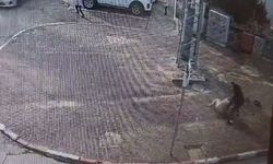 Siyonist vahşet: Hamile kadını bıçaklayarak katlettiler