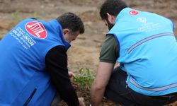 TDV "1 İyilik 1 Fidan" kampanyasıyla yıl sonuna kadar 800 bin fidan dikecek