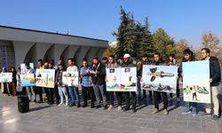 Üniversiteliler, işgalci siyonistlerin Gazze’de yıktığı dini mabetleri gündeme taşıdı