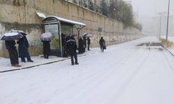 Van beyaz örtüyle kaplandı