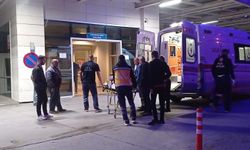 Yolun karşısına geçerken hafif ticari aracın çarptığı kadın hayatını kaybetti