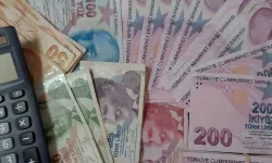 Yurt içi üretici fiyat endeksi arttı