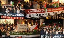 ABD’nin BM Güvenlik Konseyi vetosuna Diyarbakır'dan tepki
