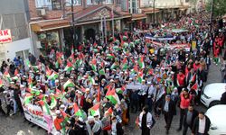 Diyarbakırlı çocuklar Gazzeli akranları için yürüdü