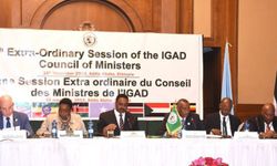 Hükümetler Arası Kalkınma Otoritesi, Sudan gündemiyle olağanüstü toplanacak