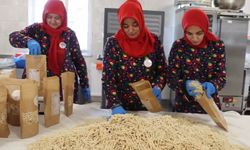 Kadın kooperatifleri ve üretici birliklerine destek
