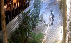 Kedileri torbaya koyup cami avlusuna bıraktı