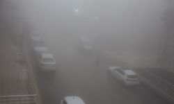 Mardin'de sis ve yağışlı hava etkili oluyor