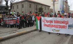 Van’daki hekimler ‘Gazze için sessiz yürüyüş’ yaptı