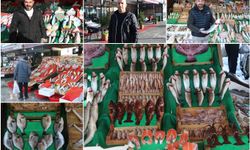 Balıkçılar: Bu sene beklenen bolluk olmadı