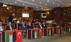 Bitlis İl Genel Meclisi, Filistin gündemiyle toplandı