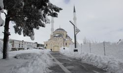 Bitlis kara gömüldü, 266 köy yolu ulaşıma kapandı