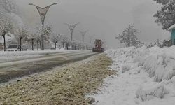 Doğu Anadolu'nun güneydoğusunda kar yağışları devam edecek