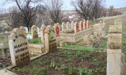 "Efeler Katliamı" kurbanları kabirleri başında anıldı