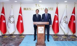 Japonya Büyükelçisi, Mardin Valisini ziyaret etti