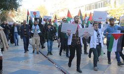 Şanlıurfa'da hekimler Gazze'deki soykırıma karşı sessiz yürüyüş yaptı