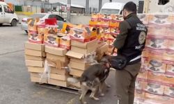 Hurma kolilerinin arasına gizlenen 22 kilo metamfetamin ele geçirildi