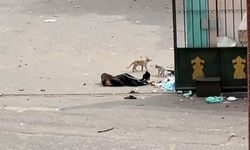 İşgalci keskin nişancılar Nasır Hastanesinde 3 kişiyi katletti 10 kişiyi yaraladı