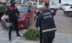 Kızıltepe İlçe Emniyet Müdürlüğü ekipleri "NarkoAlan" uygulaması gerçekleştirdi
