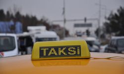 TŞOF Başkanı Apaydın: Taksicilerin güvenliği bir an önce sağlanmalı