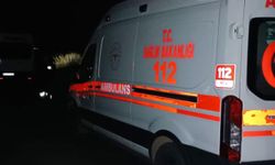 Servis minibüsü devrildi: 10 yaralı